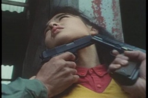 PDVD_005.jpg