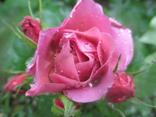 IMG_1219[1]