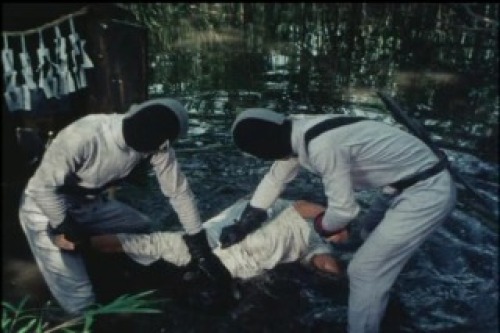PDVD_005.jpg