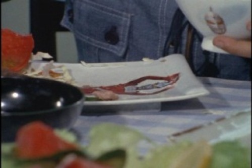 PDVD_009.jpg