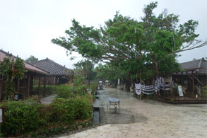 沖縄392.jpg
