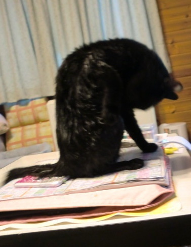 DCIM 005(V.2013_08_04__02_06_05).jpg