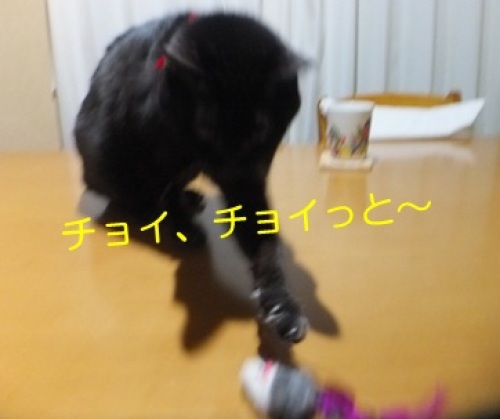 20130120_6.jpg