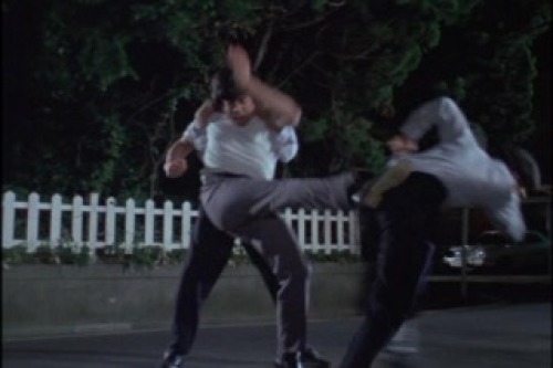 PDVD_019.jpg