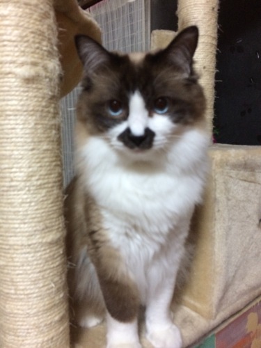 IMG_8329 - コピー.JPG