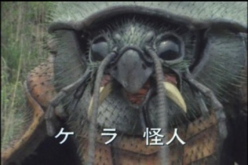 PDVD_011.jpg