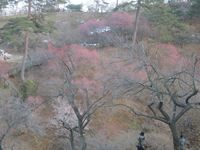IMG_2151_R.JPG