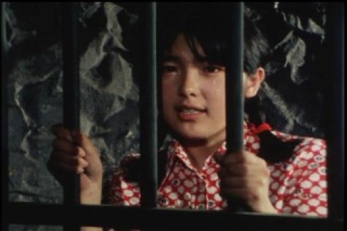 PDVD_029.jpg