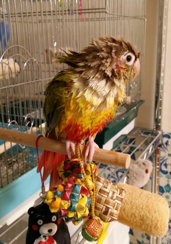 1400679476850 (560x800).jpg