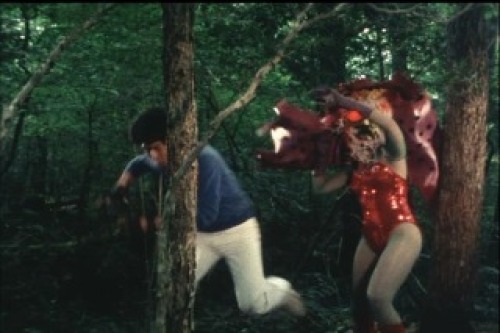 PDVD_002.jpg