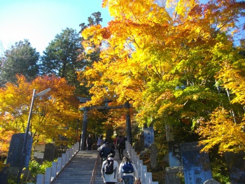 武蔵御嶽神社参道 (3).JPG