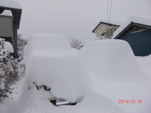 CIMG7117 (640x480).jpg