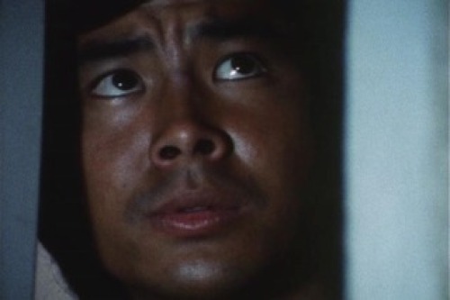 PDVD_005.jpg