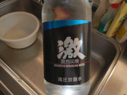 DSCN1240.JPG