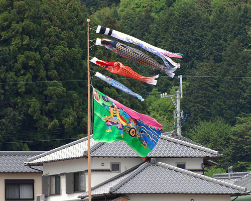 14-4-24-koinobori5.jpg