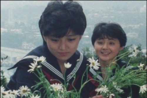 PDVD_006.jpg