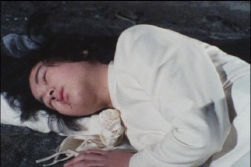 PDVD_206.jpg