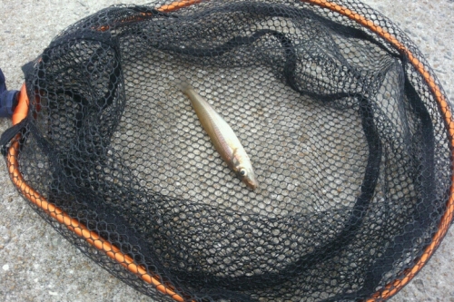 2016-04-25 18-19-57.jpg