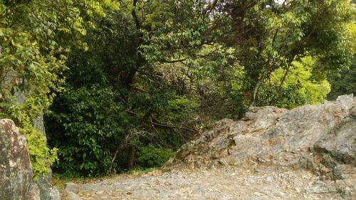 10083243_2070621527_165large.jpg