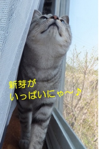 20130406_3.jpg