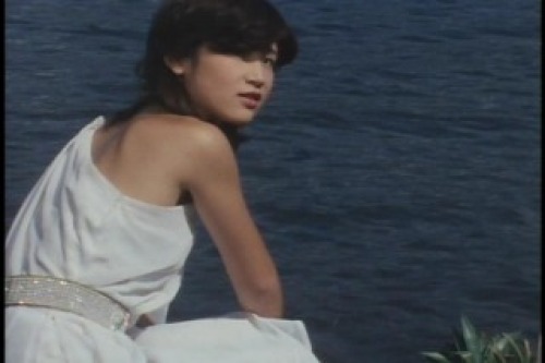 PDVD_011.jpg