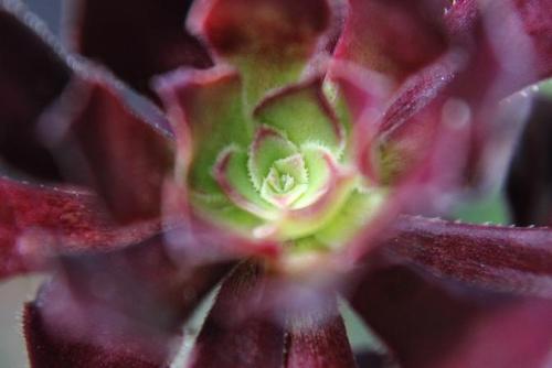 21050919 黒法師.jpg