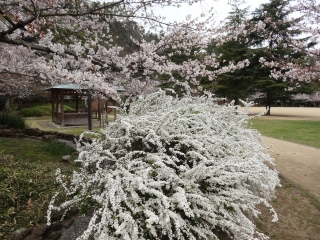 DSC00690.jpg