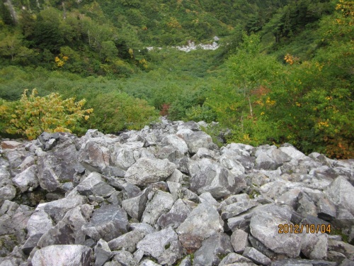 IMG_3388道1.jpg