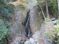 IMG_0503_R.JPG