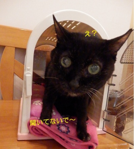 20150425_2.jpg