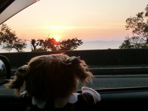 CIMG1823 (1280x960).jpg