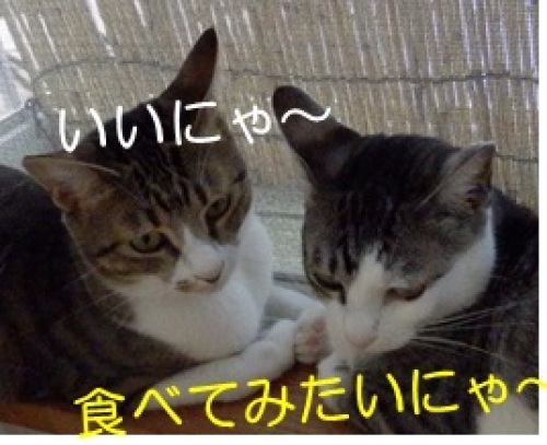 20130813_5.jpg