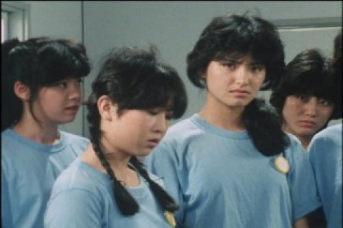 PDVD_011.jpg