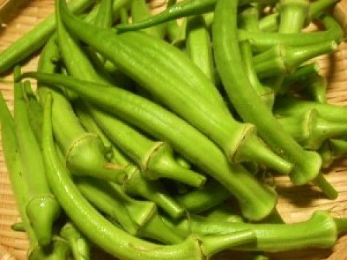 DSCN2725 (300x225).jpg