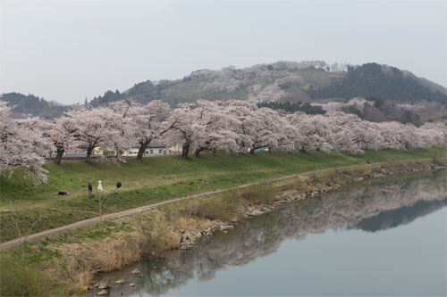 白石川4.jpg