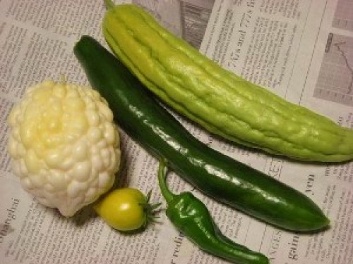 DSCN2838 (300x225).jpg