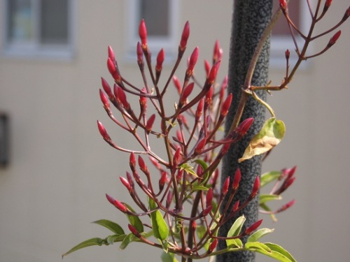 2014.4.26 061 - コピー.JPG