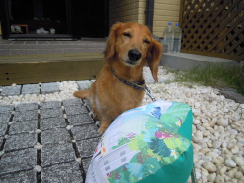 DSCN9270.JPG