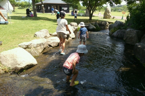 2016-05-22 10-29-04.jpg