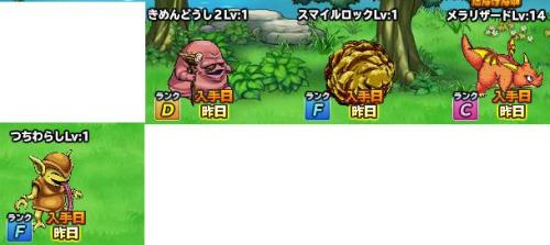 20140225ｽｶｳﾄ.JPG