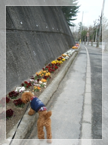 DSCF5011.JPG