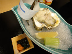 白扇37.jpg