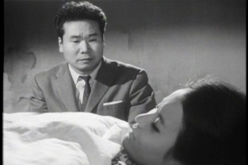 PDVD_028.jpg