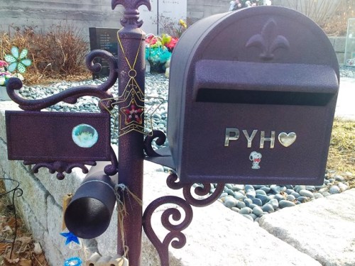 2017-01-19 11.27.45.jpg