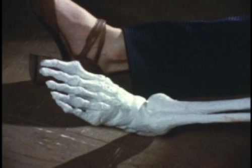 PDVD_025.jpg