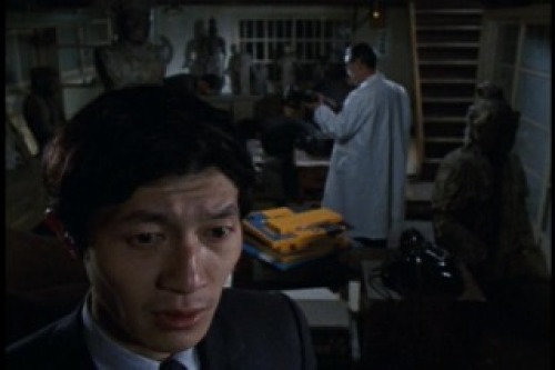 PDVD_002.jpg