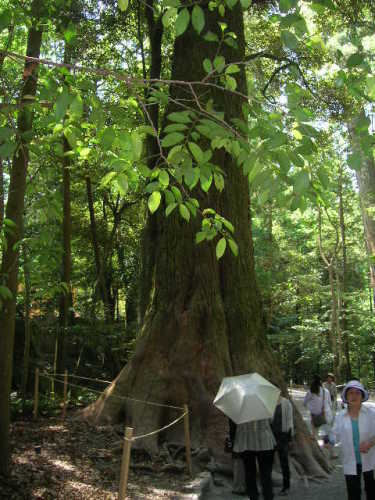 DSCN3555.JPG