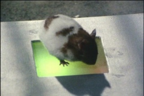 PDVD_053.jpg