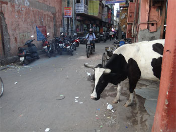 インド864.jpg