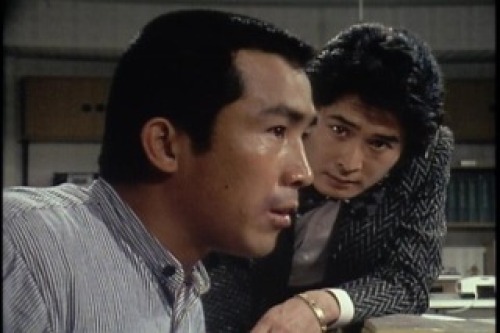 PDVD_001.jpg